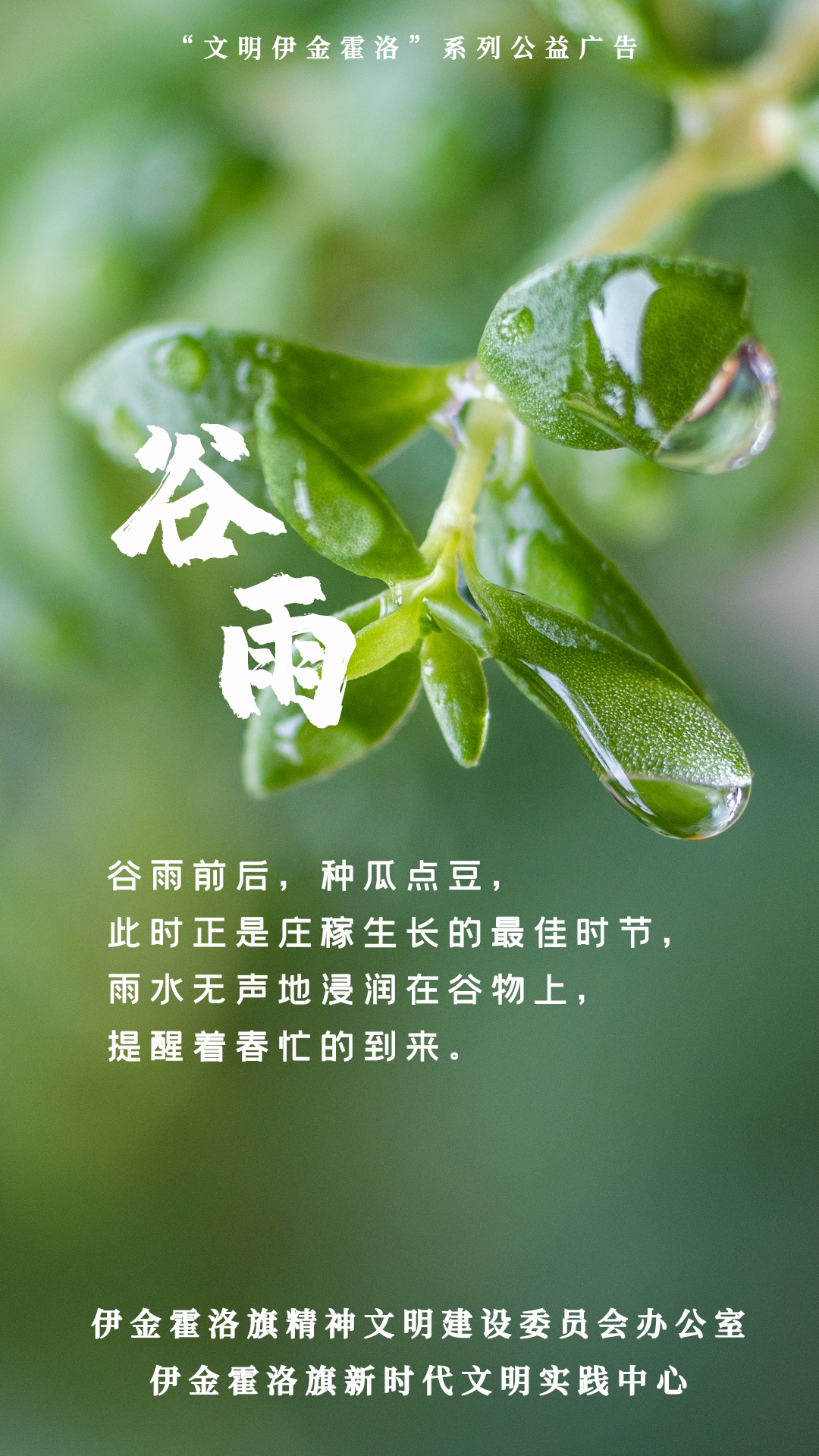 节气-谷雨  (3).jpg