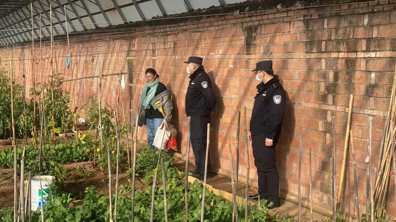 图片1.png 图片1.png