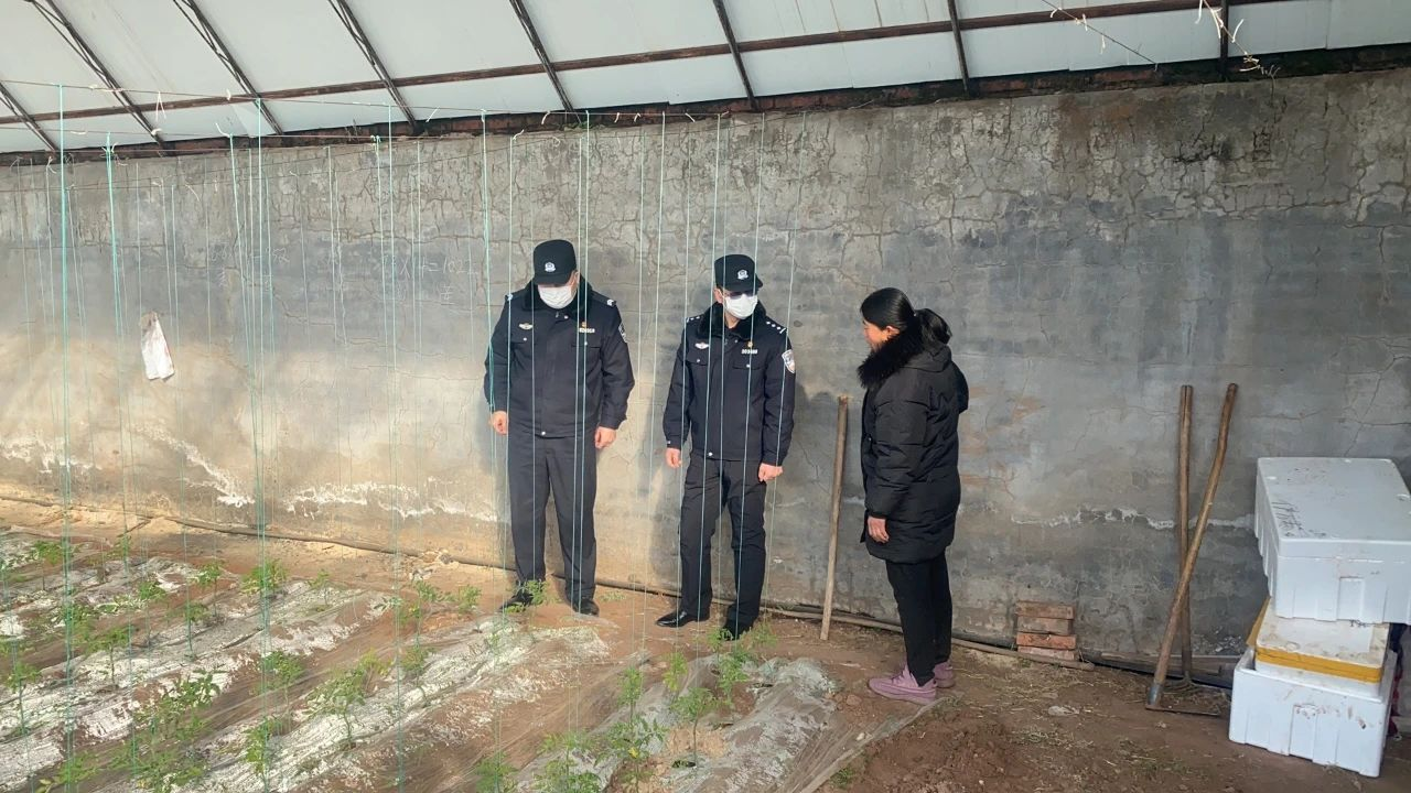 图片2.png 图片2.png