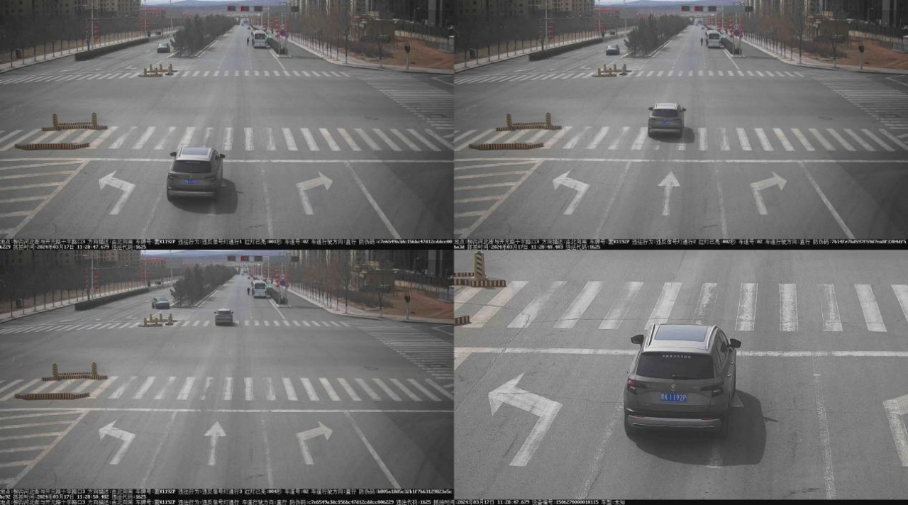 d11707295f55ab89c7d492a7782995f9.png