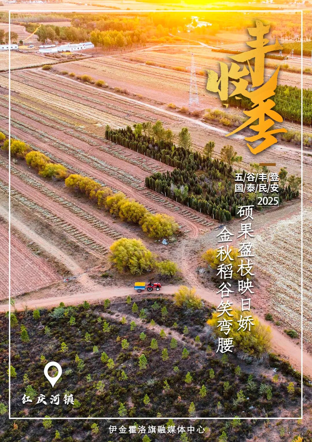 640 (5).jpeg 640 (5).jpeg