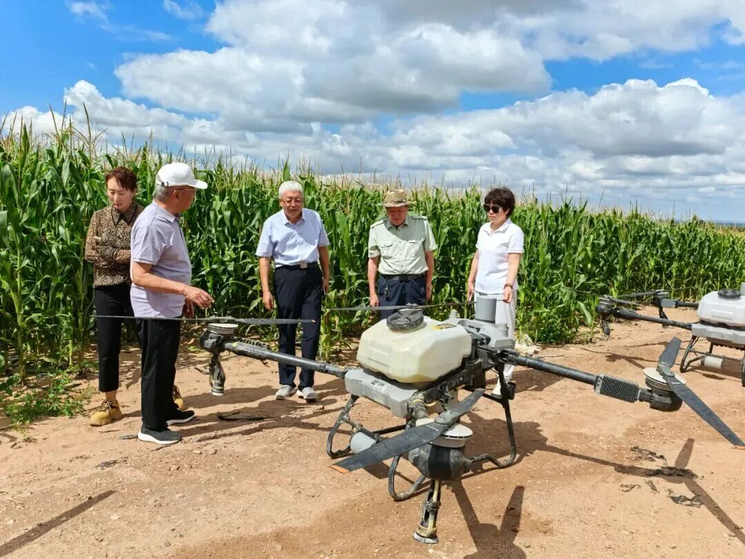 640 (1).jpeg 640 (1).jpeg