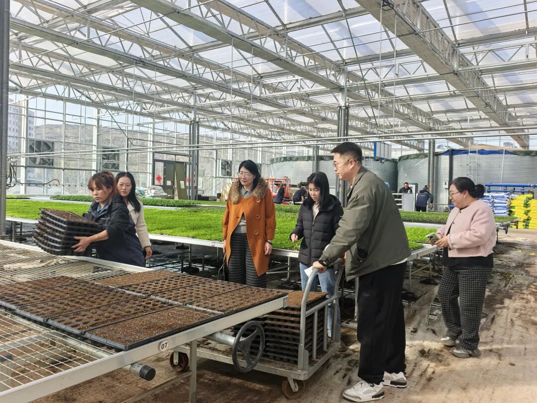 640 (17).jpeg 640 (17).jpeg