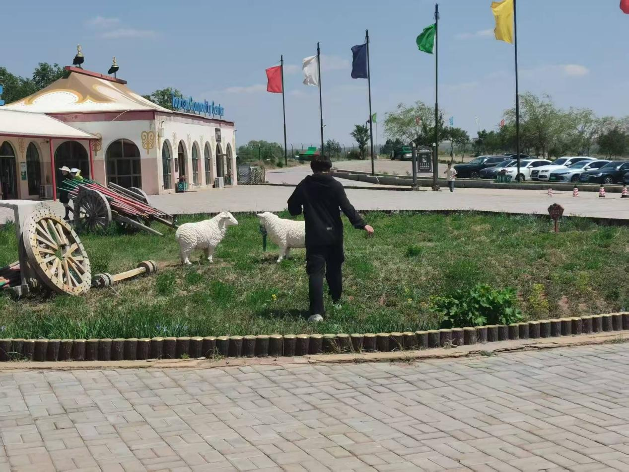 图片20.png 图片20.png