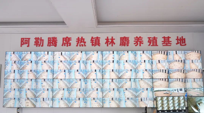 wechat_2026-06-29_111604_419.png